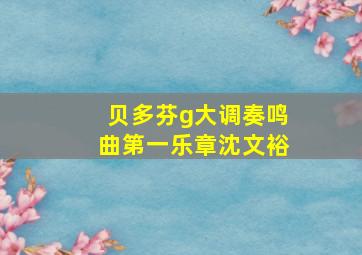 贝多芬g大调奏鸣曲第一乐章沈文裕