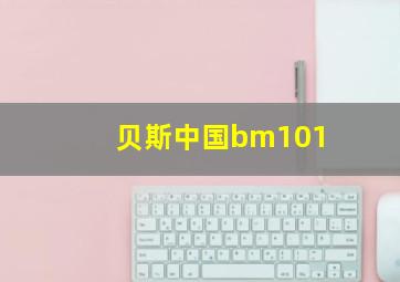 贝斯中国bm101