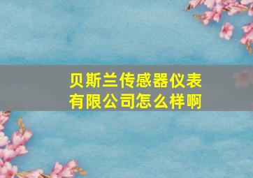 贝斯兰传感器仪表有限公司怎么样啊