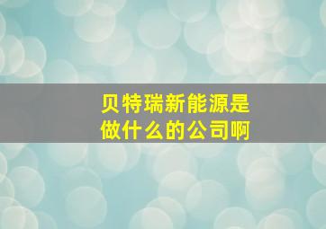 贝特瑞新能源是做什么的公司啊