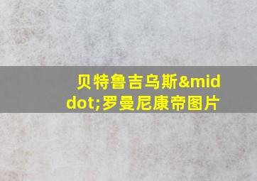 贝特鲁吉乌斯·罗曼尼康帝图片