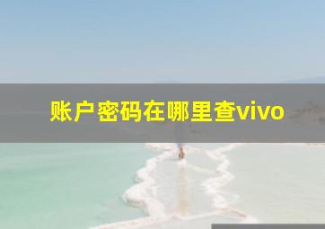 账户密码在哪里查vivo