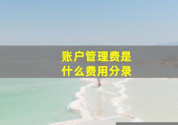 账户管理费是什么费用分录