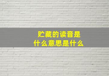 贮藏的读音是什么意思是什么