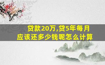 贷款20万,贷5年每月应该还多少钱呢怎么计算