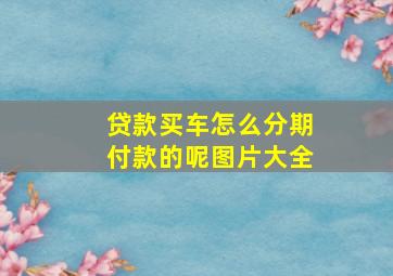 贷款买车怎么分期付款的呢图片大全