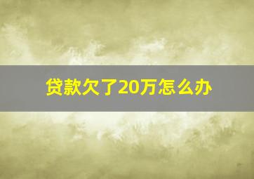 贷款欠了20万怎么办