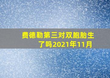 费德勒第三对双胞胎生了吗2021年11月