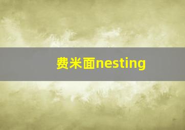 费米面nesting