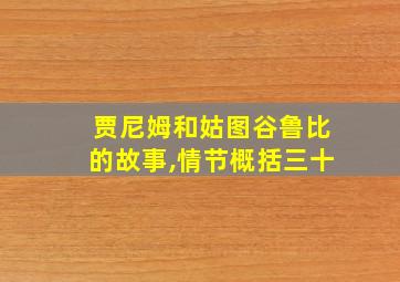 贾尼姆和姑图谷鲁比的故事,情节概括三十