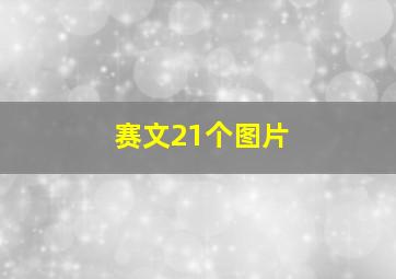 赛文21个图片