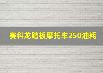 赛科龙踏板摩托车250油耗