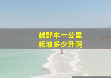 越野车一公里耗油多少升啊