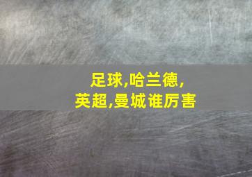 足球,哈兰德,英超,曼城谁厉害