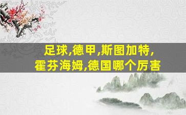 足球,德甲,斯图加特,霍芬海姆,德国哪个厉害