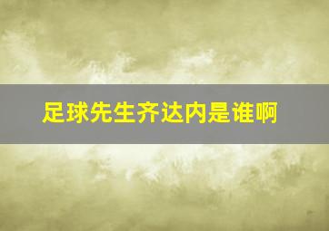 足球先生齐达内是谁啊