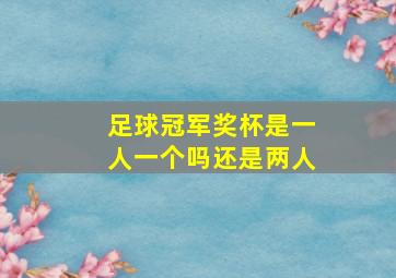 足球冠军奖杯是一人一个吗还是两人