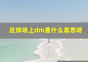 足球场上dm是什么意思呀