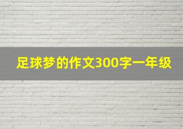 足球梦的作文300字一年级