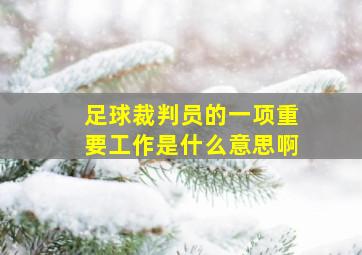 足球裁判员的一项重要工作是什么意思啊