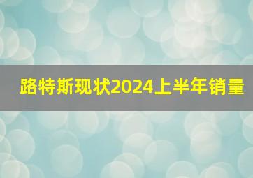 路特斯现状2024上半年销量