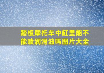 踏板摩托车中缸里能不能喷润滑油吗图片大全