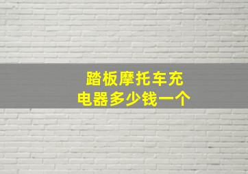 踏板摩托车充电器多少钱一个