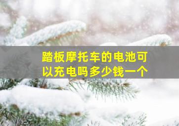 踏板摩托车的电池可以充电吗多少钱一个