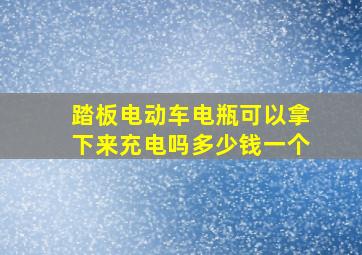 踏板电动车电瓶可以拿下来充电吗多少钱一个