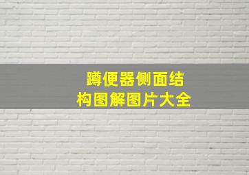 蹲便器侧面结构图解图片大全