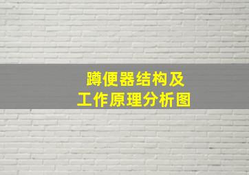 蹲便器结构及工作原理分析图