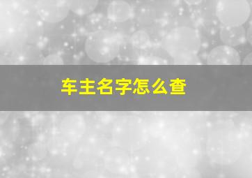 车主名字怎么查