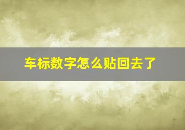 车标数字怎么贴回去了