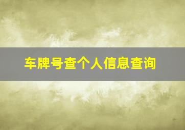 车牌号查个人信息查询