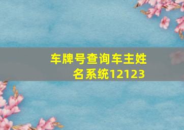 车牌号查询车主姓名系统12123