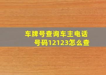 车牌号查询车主电话号码12123怎么查