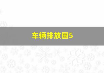 车辆排放国5