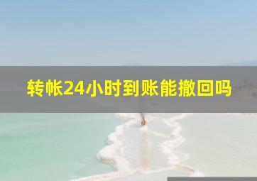 转帐24小时到账能撤回吗