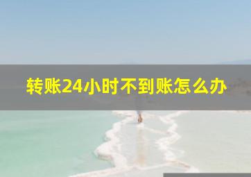 转账24小时不到账怎么办