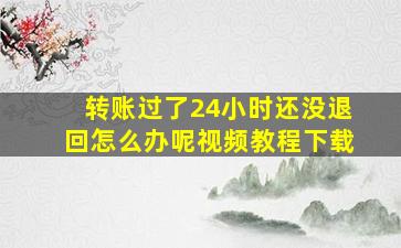 转账过了24小时还没退回怎么办呢视频教程下载