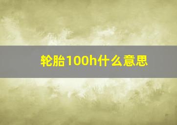 轮胎100h什么意思