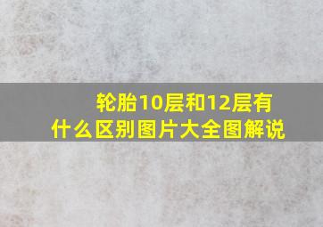 轮胎10层和12层有什么区别图片大全图解说