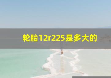 轮胎12r225是多大的