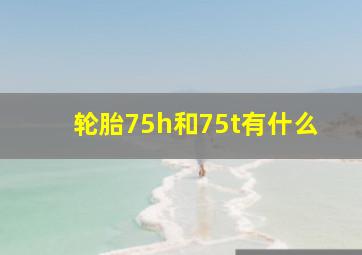 轮胎75h和75t有什么