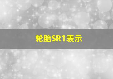 轮胎SR1表示