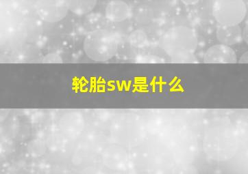 轮胎sw是什么