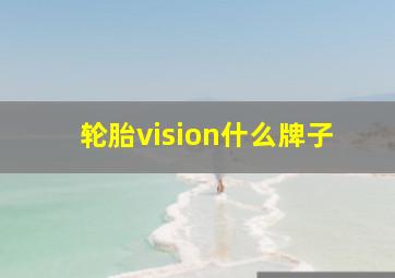 轮胎vision什么牌子