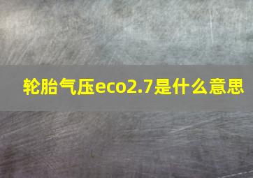 轮胎气压eco2.7是什么意思