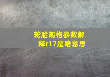 轮胎规格参数解释r17是啥意思