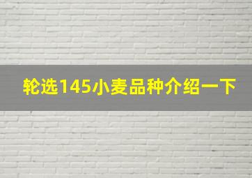 轮选145小麦品种介绍一下